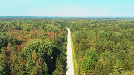 Mitten-Im-Wald-Eine-Asphaltierte-Straße,-Drohnenaufnahme,-Kamera-Zoomt-Heran
