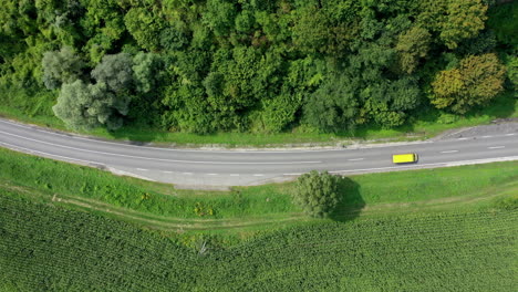 Flying-over-a-winding-road-in-the-forest-with-trees-on-both-sides-in-summer