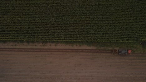 Top-down-aerial-sideways-movement-showing-a-tractor-in-an-agrarian-farmland-field-grubbing-onions-next-to-a-corn-field-slowly-approaching