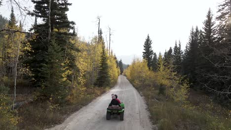 ATV-Adventure-On-The-Trail-Of-Wasatch-Mountain-In-Utah-During-Autumn-Season---high-angle-shot,-slow-motion