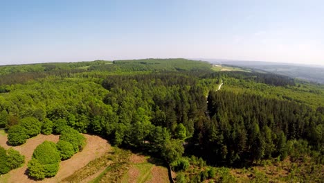 Panoramic-drone-flight-over-green-woodlands-in-the-summer-season