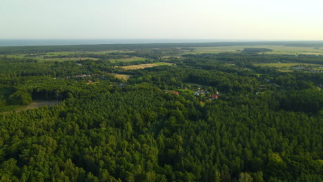 Aerial-back-out-view-of-lush-green-forested-rural-landscape-in-Sasino-Poland