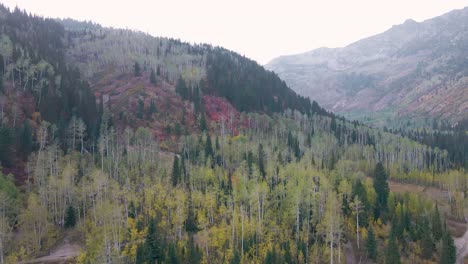 Increíble-Bosque-De-La-Cordillera-Wasatch-De-Utah-Durante-El-Otoño,-Vista-Aérea