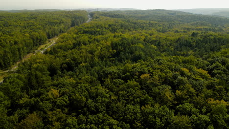Scenic-aerial-view-of-large-mixed-green-forest-crossed-by-highway