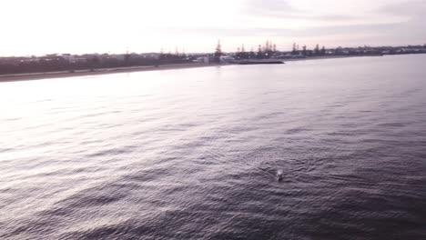 Sunrise-Melbourne-Schwimmer-In-Ocean-Drone-Parallaxe