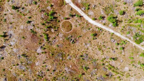 Top-down-Shot-Of-Stone-Circles-In-The-Vast-Landscape-In-Bory-Tucholskie-National-Park-Near-Lesno,-Poland---aerial