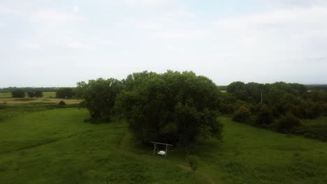 Aerial-toward-a-big-lush-tree-in-Kansas-that-has-a-white-bench-swing-underneath-it