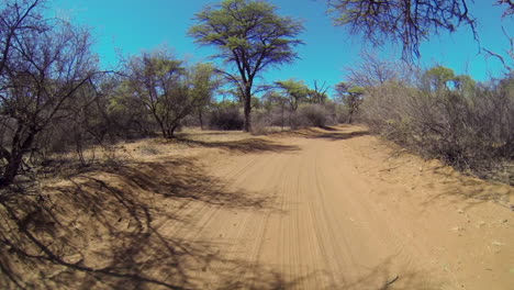 Kalahari-National-Park-Roads,-semi-desert