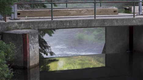 River-Rapids-Below-A-Dam-Spillway-In-Algonquin-Park,-Scenic-Nature-Landscape