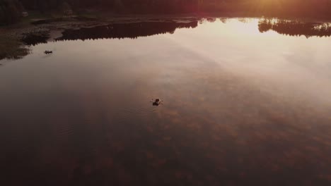 Segeljolle-Auf-Einem-Ruhigen-Wasser-Eines-Sees-Nahe-Dem-Dorf-In-Rogowko,-Polen-Durch-Sonnenuntergang