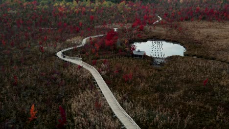 Die-Schöne-Landschaft-Der-Bunten-Herbstbäume-Mit-Brücke-Am-Magog-Des-Memphremagog-sees-In-Den-östlichen-Townships,-Quebec-Kanada---Luftaufnahme