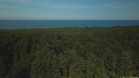Drone-slow-gentle-rise-over-the-beautiful-green-forest-on-sea-background-in-Debki-village,-Baltic-Sea,-Poland