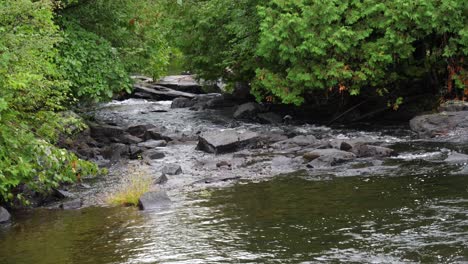 Fluss,-Der-Zu-Gefährlichem-Wildwasser-Führt,-Schmal---Felsiger-Bach-Im-Grünen-Wald