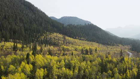 Maravillosa-Vista-De-árboles-Gloriosos-Y-Cielo-Azul-Brillante-Arriba---Parque-Estatal-De-Montaña-Wasatch-En-Utah,-Ee.uu.---Toma-Aérea