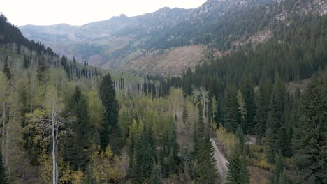 Die-Schöne-Und-Friedliche-Landschaft-Eines-Waldes-Im-Wasatch-Mountain-State-Park-In-Utah,-Usa---Luftaufnahme
