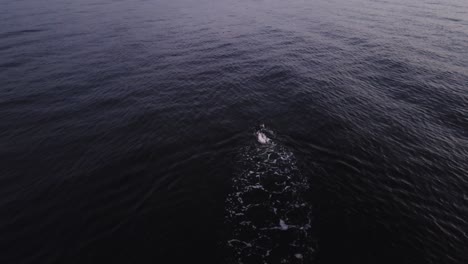 Overhead-Drone-With-Man-Swimming-In-Ocean