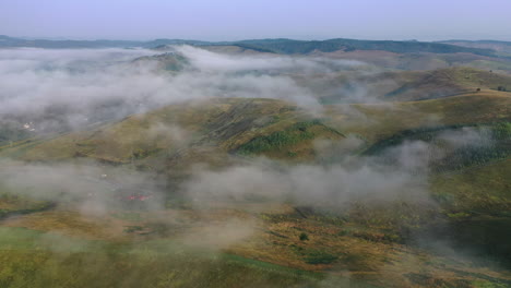 Aerial-view-of-foggy-forest-in-morning