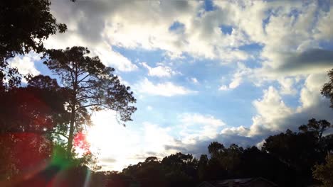 Sunset-Time-Lapse-Over-Naborhood-With-Tall-Trees