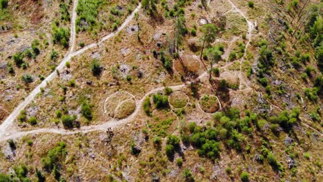 Stone-Circles-Aerial-Landscape---Archaeological-Site-Near-Lake-Lesno-Dolne-In-Poland---drone-shot