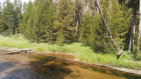 Forest-Creek-in-Yellowstone-National-park,-aerial-view-in-slow-motion