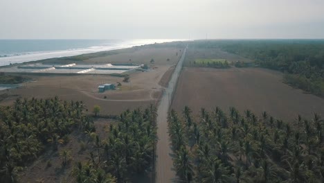 Drone-Aerial-of-Cars-driving-over-highway-with-palm-trees-towards-the-beach-in-Guatemala