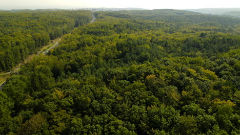 Aerial-flight-over-highway-development-through-forest-wilderness-with-rolling-hills,-cinematic-view-of-trees