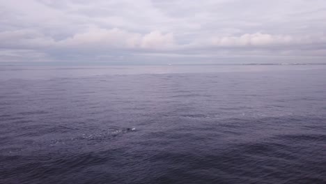 Hombre-Nadando-En-El-Océano-Día-Nublado-Drone