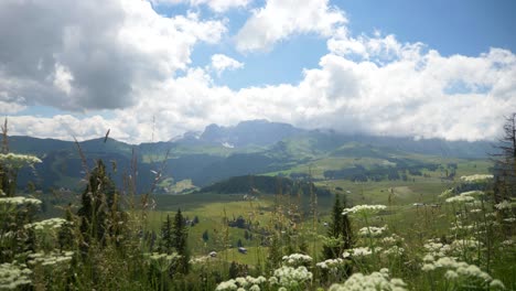 Static-shot-of-a-Green-Valley-Nature-setting,-grass-mountains-skies-with-flowers,-Val-Gardena