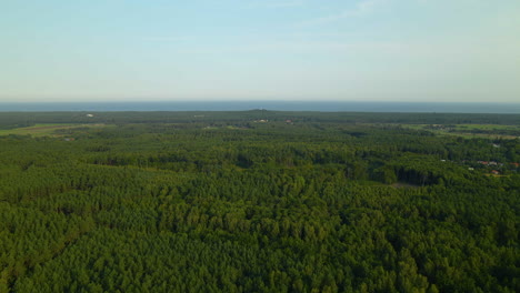 Flying-above-green-forest-towards-the-baltic-seashore