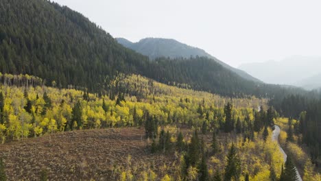 Mountain-Escape-to-Beautiful-Evergreen-and-Aspen-Tree-Landscape,-Utah-Aerial-Drone