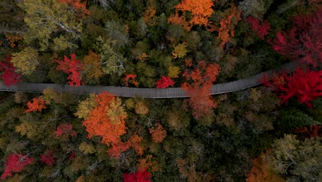Wooden-pathway-through-the-Autumn-Park-in-the-Eastern-Townships-in-Canada---aerial-ascend