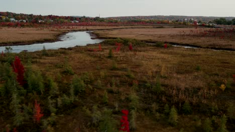 Goldene-Wiesenlandschaft-Am-Ruhigen-Wasser-Des-Cours-D&#39;eau-Shonyo-Zum-See-Memphremagog-In-Den-östlichen-Townships,-Quebec,-Kanada