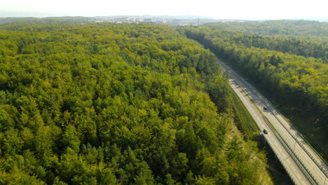 Aerial-top-down-of-green-forest-trees-beside-busy-road-with-cars-during-sunny-day-in-nature
