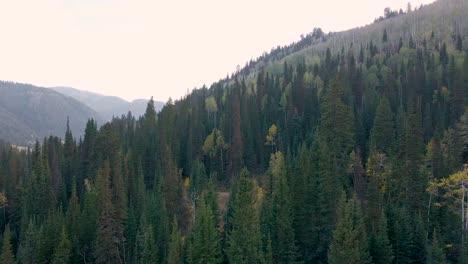 Evergreen-Pine-Tree-Slope-Mountain-Landscape---Rising-Jib-Aerial-Drone-View