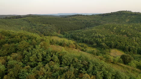 Wald-Aus-Drohnenansicht-In-Ungarn.-Bewölkter-Tag