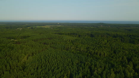 Landscape-with-dense-coastal-forest-on-shore-of-Baltic-Sea