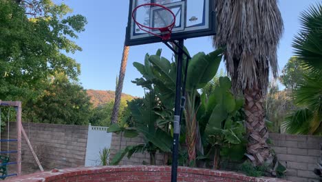 basketball-hoop-for-practice-in-yard