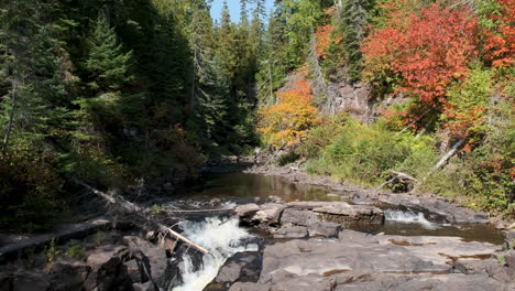 Beautiful-Northern-River-With-Fall-Colors-And-Pine-Trees