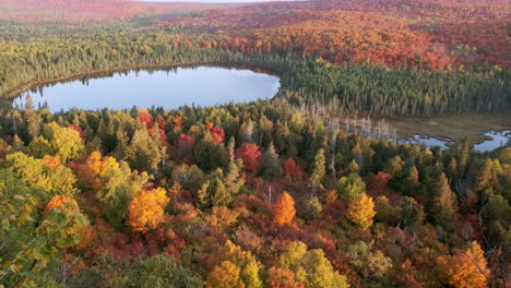 Tilt-Up-On-Lake-With-Beautiful-Fall-Foliage