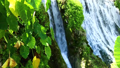 Schöner-Wasserfall-Und-Elefantenohren-Im-Mühlenteichpark-In-San-Saba-Texas