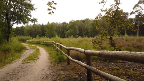 Dirt-road-in-the-forest,-along-a-field-surrounded-by-a-wooden-fence