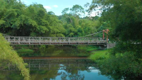 Puente-De-Primavera-Blanchisseuse-Desde-El-Río-En-Trinidad
