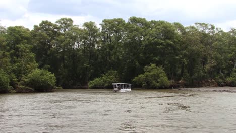 Passenger-boat-on-the-Tarcoles-river