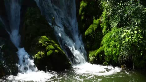 Wasserfall-Und-Moos-Im-Mühlteichpark-In-San-Saba,-Texas