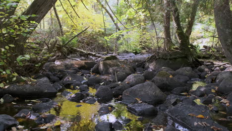 Peaceful-Small-Rocky-Forest-Creek