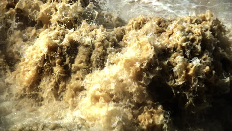 Close-up-of-muddy-geothermal-hot-spring-water-boiling-in-slow-motion