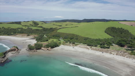 Stunning-Landscape-Of-Tawharanui-Regional-Park-With-Lush-Mountains-Hills,-Meadow,-And-Trees-By-The-Turquoise-Water-Of-Pacific-Ocean-In-Auckland,-New-Zealand
