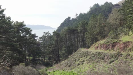 Wide-Shot-of-Lone-Hiker-Walking-Along-a-Trail-to-the-Pacific-Ocean-in-Northern-California