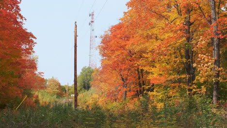 Leuchtende-Herbstfarben-Rund-Um-Funkturm-Und-Versorgungsleitungen