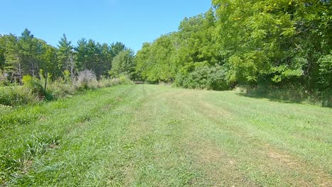 POV-driving-small-tractor-over-grassy-area-and-then-down-a-path-into-trees-on-a-sunny-summer-day